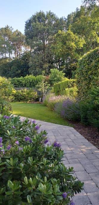 Homestay Petit Havre De Paix Vannes
